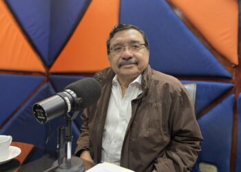 Exdirigente del FMLN acepta que fracasaron en el combate contra las pandillas