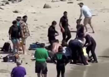 (VIDEO) Tiburón blanco ataca a surfista en California: turistas lo salvan tras escuchar sus gritos