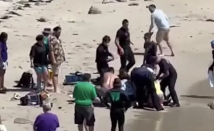 (VIDEO) Tiburón blanco ataca a surfista en California: turistas lo salvan tras escuchar sus gritos