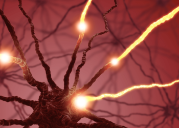 (VIDEO) Dos brazos robóticos permiten a una persona parcialmente paralizada comer por sí misma después de 30 años