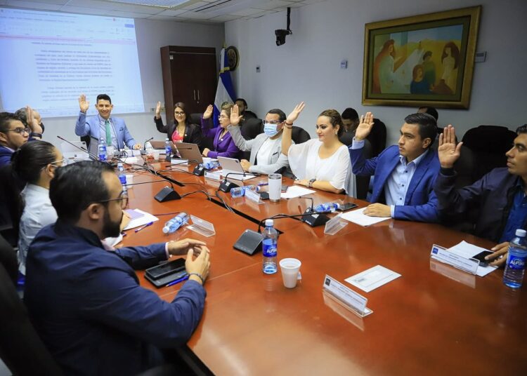 Comisión de reformas electorales dictaminó a favor de reformar leyes que rigen el Registro Nacional de las Personas Naturales