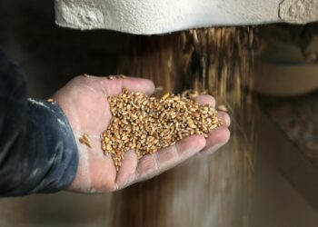 Guerra en Ucrania disparará inseguridad alimentaria en América Latina