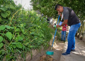Limpian y reforestan espacios públicos en colonia Valle del Sol de Apopa