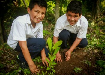 Diputados hacen llamado a preservar la naturaleza en el Día Mundial del Medio Ambiente