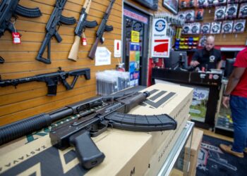 Senado EE.UU. aprueba histórico proyecto de ley contra las armas