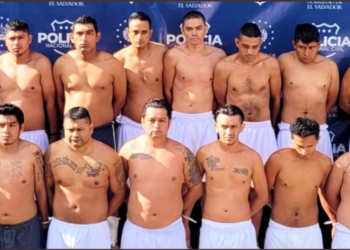 PNC detiene a 19 pandilleros en Soyapango, Ilopango y San Martín