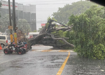 Reportan calles inundadas y árboles caídos en distintos puntos de la capital