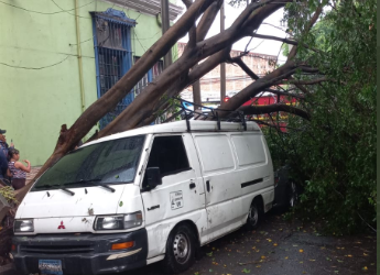 Aguaceros sobre San Salvador y sus alrededores, Bomberos reportan árboles caídos