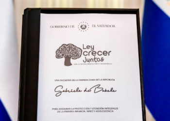 Diputados avalan propuesta de Ley Crecer Juntos, que prioriza derechos de niñez y adolescencia