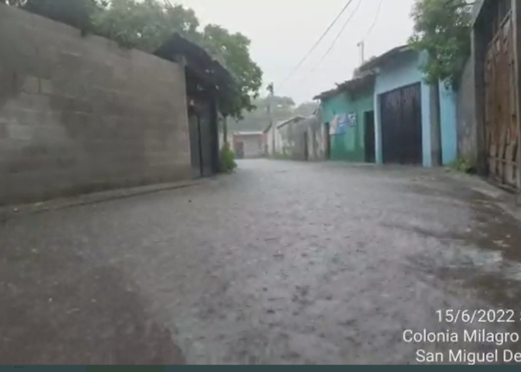 Protección Civil reporta tormentas, inundaciones y caídas de árboles en diferentes zonas del país