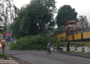 Árbol y poste caídos frente al penal de Mariona obstaculizan el tráfico