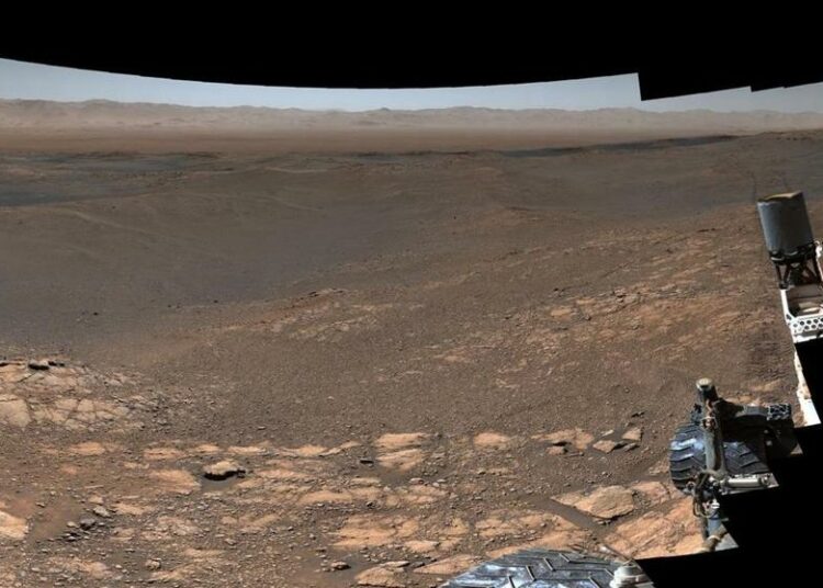 El róver Curiosity de la NASA halla unas estructuras parecidas a árboles en Marte