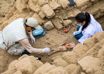 Hallan en Perú una escultura de madera en perfecto estado en el complejo arqueológico de Chan Chan
