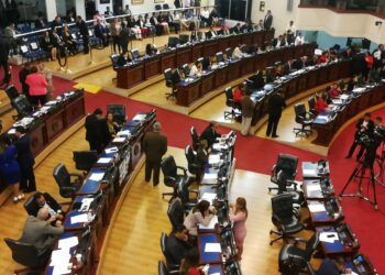 Diputada Suecy Callejas afirma que legislaturas anteriores centraron leyes en los adultos y descuidaron derechos de la niñez