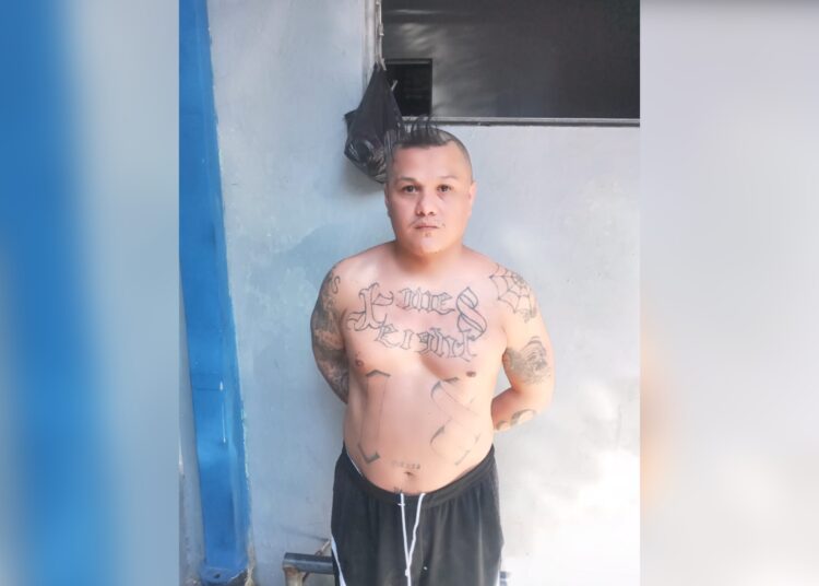 Capturan a peligroso pandillero: posee antecedentes por asesinato