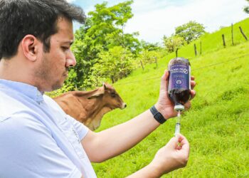 Gobierno inicia campaña de asistencia técnica a pequeños ganaderos