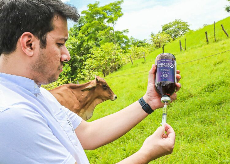 Gobierno inicia campaña de asistencia técnica a pequeños ganaderos