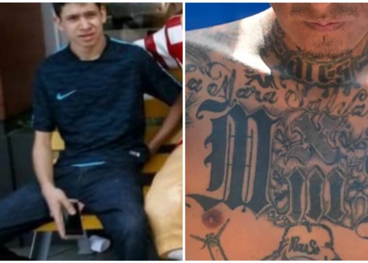 Ángel González colaboraba con la «MS»