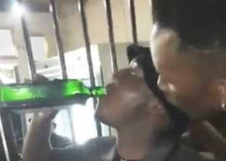 (VIDEO) Hombre muere después de beberse una botella entera de Jägermeister en 2 minutos por una apuesta de 12 dólares