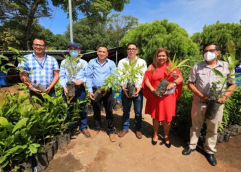 CEL recibe reconocimiento por la contribución que realiza en la protección de medio ambiente 