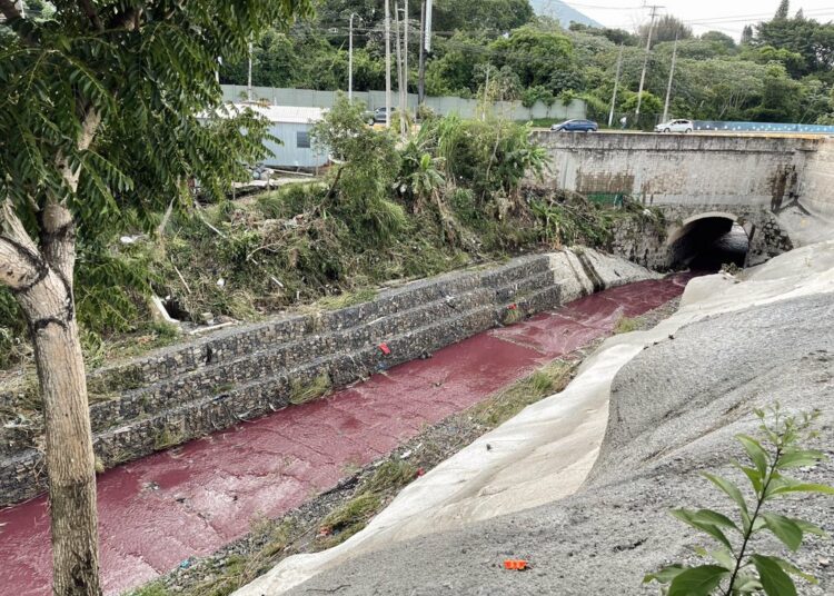 Instalan audiencia en caso de daño medioambiental en quebrada El Piro, Antiguo Cuscatlán