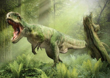 Anuncian la subasta del esqueleto de una rara especie de dinosaurio carnívoro pariente del ‘Tyrannosaurus rex’