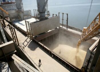 A pesar del bloqueo ruso, Ucrania logró sacar 16 barcos cargados de cereales a través del río Danubio