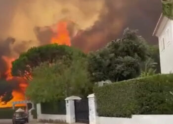 (VIDEOS) Los incendios continúan castigando Francia y España en plena ola de calor