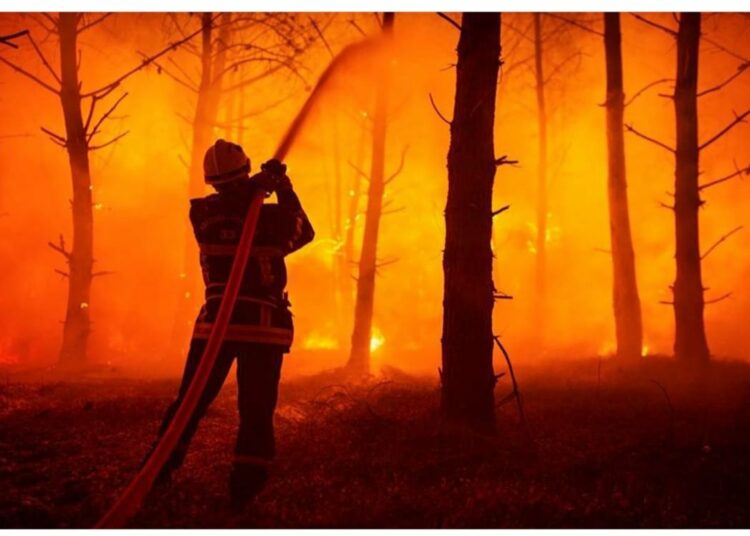 La ola de calor en Europa dejó cientos de miles de hectáreas quemadas