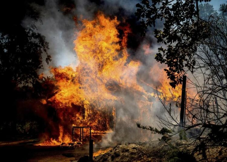 ( VIDEOS) EE. UU.: decretan la emergencia por incendio cerca al Parque Nacional Yosemite