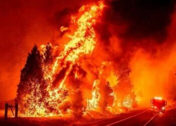 El incendio Oak se extiende sin control en California