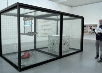 Museo alemán retira una obra ‘mata moscas’ de Damien Hirst porque una ley de bienestar animal las protege