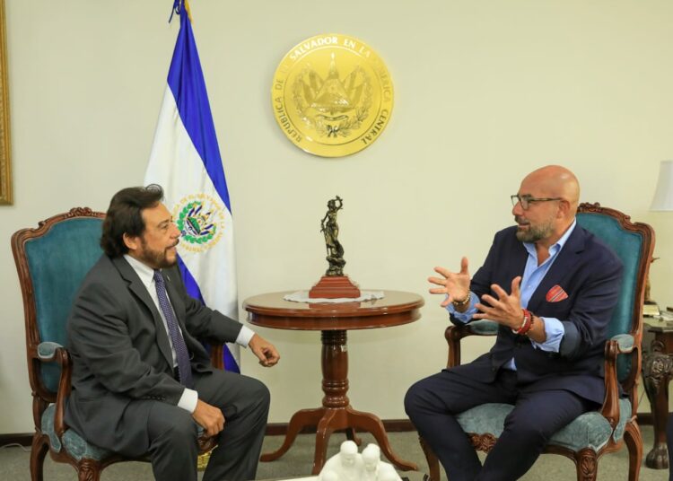 Vicepresidente Félix Ulloa dialoga sobre procesos electorales con el Oficial de Asuntos Políticos Electorales de la ONU