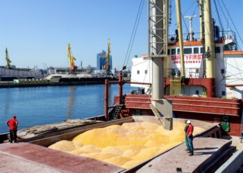 La ONU espera que primeros barcos con cereal salgan en breve de Ucrania