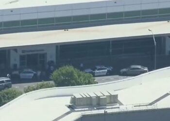 Reportan un tiroteo en un aeropuerto de la ciudad estadounidense de Dallas