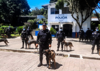 PNC refuerza la unidad canina con once nuevas narices