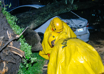 Inundaciones, árboles caídos y personas evacuadas deja tormenta de anoche en la capital