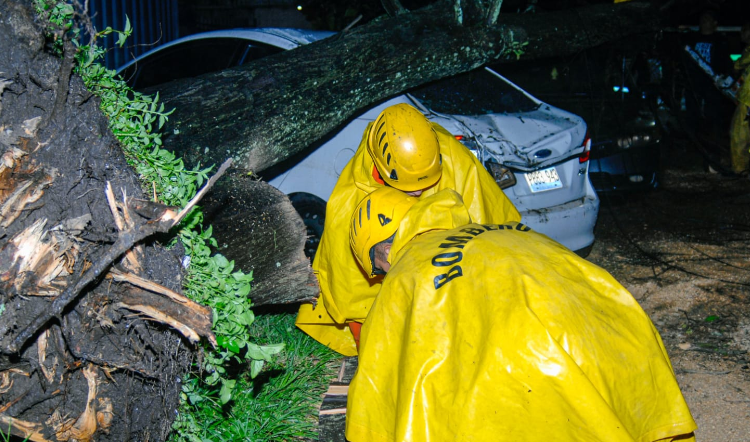 Inundaciones, árboles caídos y personas evacuadas deja tormenta de anoche en la capital