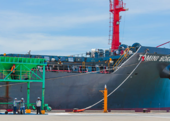 El buque Tomini Bora atracó en el puerto de La Unión, cargado con 7 mil toneladas métricas de fertilizantes. FOTO: Comisión Ejecutiva Portuaria Autónoma.