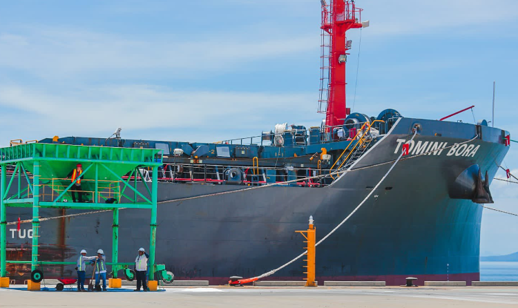El buque Tomini Bora atracó en el puerto de La Unión, cargado con 7 mil toneladas métricas de fertilizantes. FOTO: Comisión Ejecutiva Portuaria Autónoma.