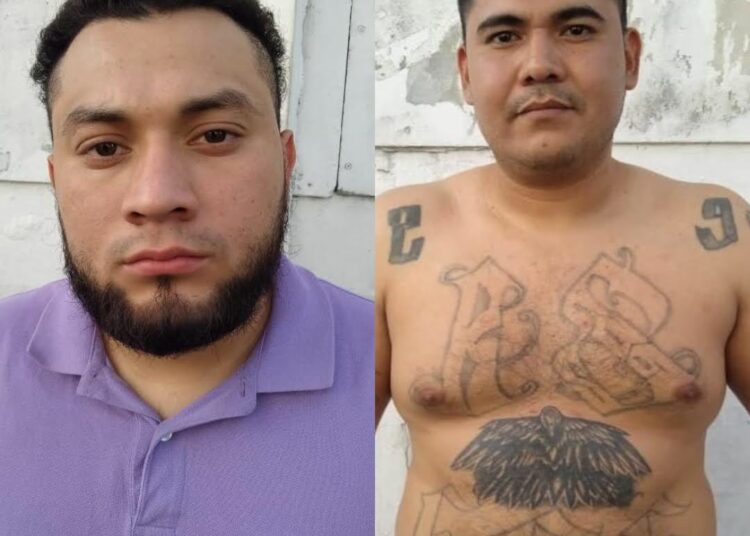 Capturan a dos peligrosos terroristas que se escondían en colonia La Chacra