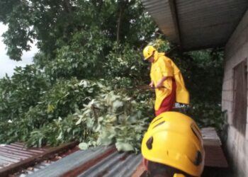 Se decreta estado de emergencia nacional por 15 días ante la presencia de onda tropical