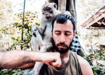 ¿Qué significa que la viruela del mono sea una emergencia internacional?