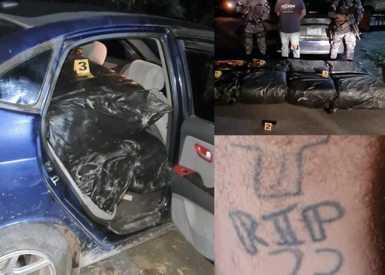 Detienen a pandillero con más de 400 libras de marihuana sobre carretera del Litoral