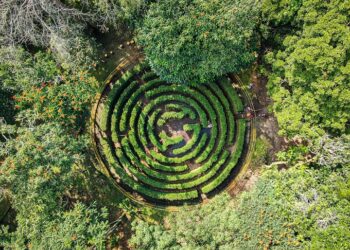 Fiestas agostinas ideales para reconectar con el Parque Balboa