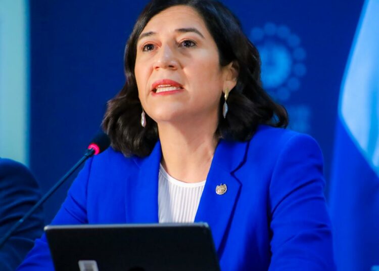 Gobierno prevé una inversión de alrededor de $360 millones, tras aplicación de las 11 medidas anti inflación