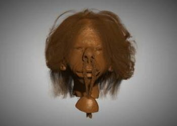 Confirman la autenticidad de una cabeza reducida que se conserva en Canadá