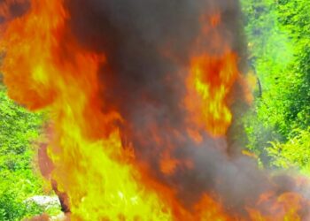 Autoridades destruyen incautación de más de 29,000 kilos de droga de diversos operativos