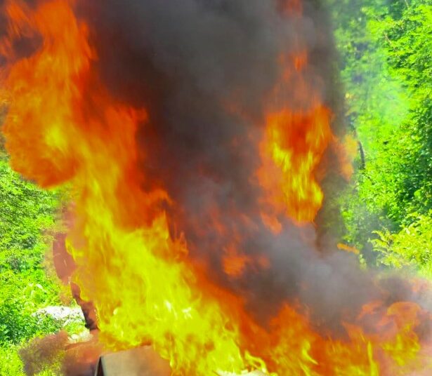 Autoridades destruyen incautación de más de 29,000 kilos de droga de diversos operativos