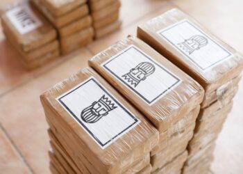 Fiscalía acusa a nueve extranjeros por traficar más de 3,600 kilos de cocaína